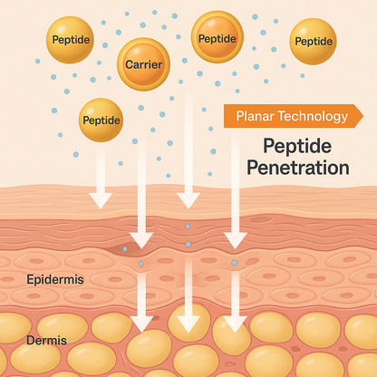 Serenity Hue - Encapsulated Complex Peptide Long Lash serum